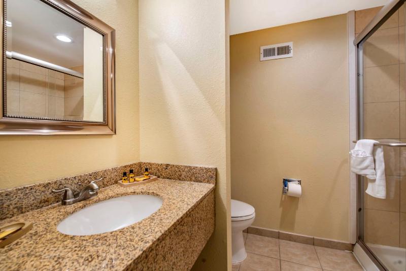 Queen Suite with Walk-In Shower and Jacuzzi - Pool View/Non-Smoking image 2
