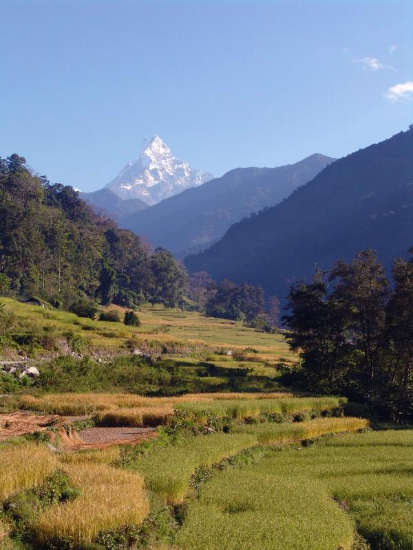 Mountain Lodges of Nepal - Birethanti - image 6