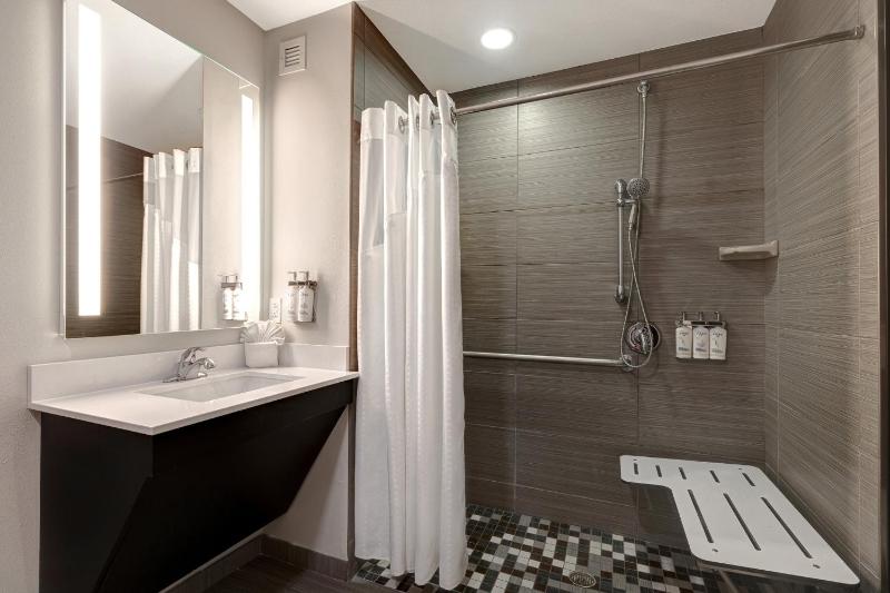 Standard King Room with Roll-in Shower - Mobility Accessible image 2