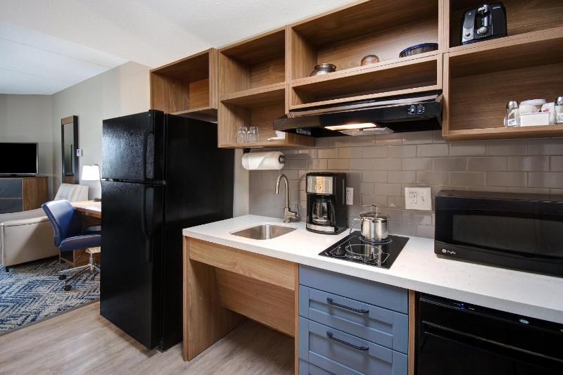 King Studio Suite image 2