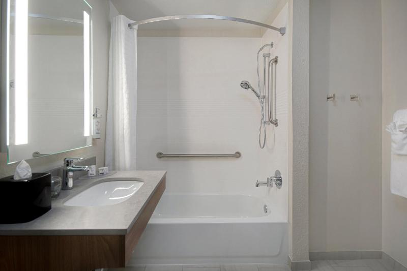 King Studio Suite image 1