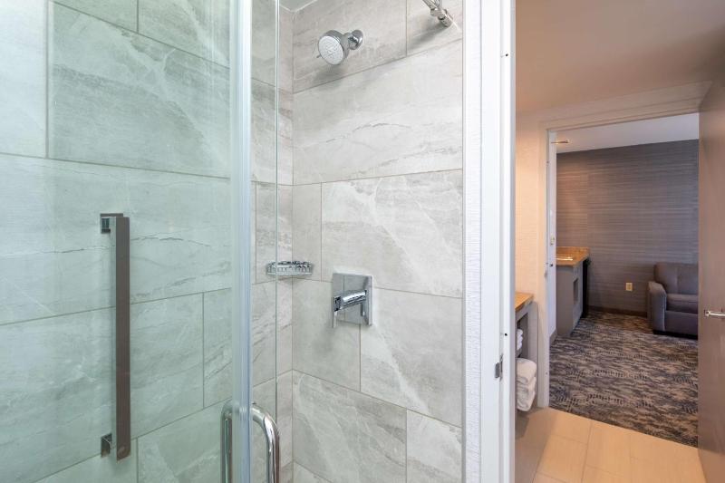 King Suite with Airport View image 2