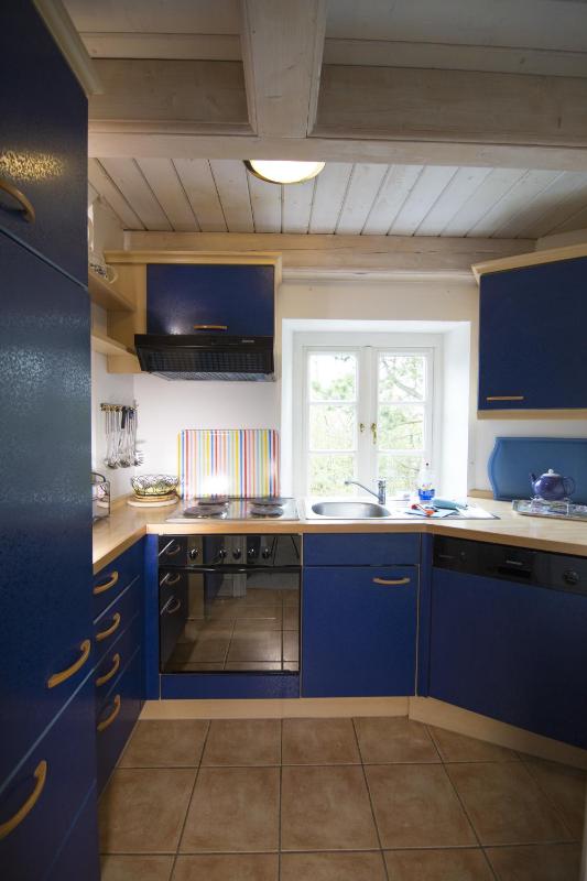 One-Bedroom Apartment image 2