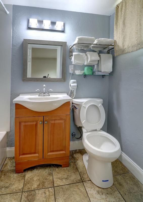 Deluxe One-Bedroom Suite image 2