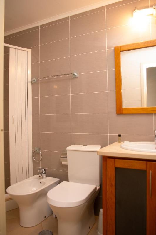 One-Bedroom Apartment image 4