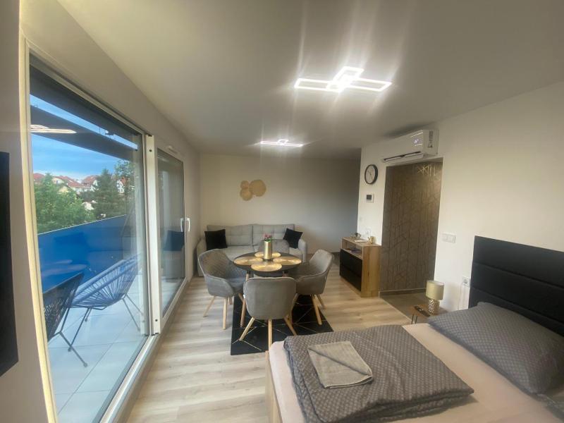 Lake View Penthouse - image 17