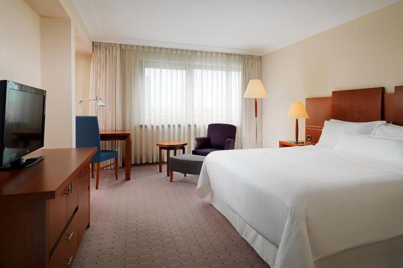 Deluxe King Non Smoking, Guest room, 1 King, City view image 1