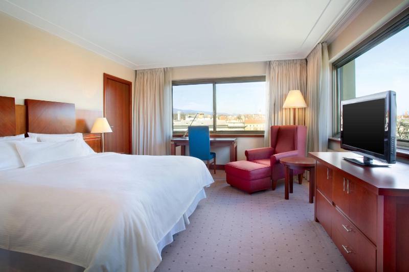 Deluxe King Non Smoking, Guest room, 1 King, City view image 3