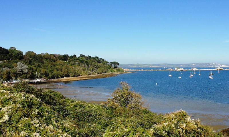 Lookout - image 15