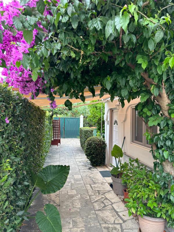 Luxury Residence Zola - image 20