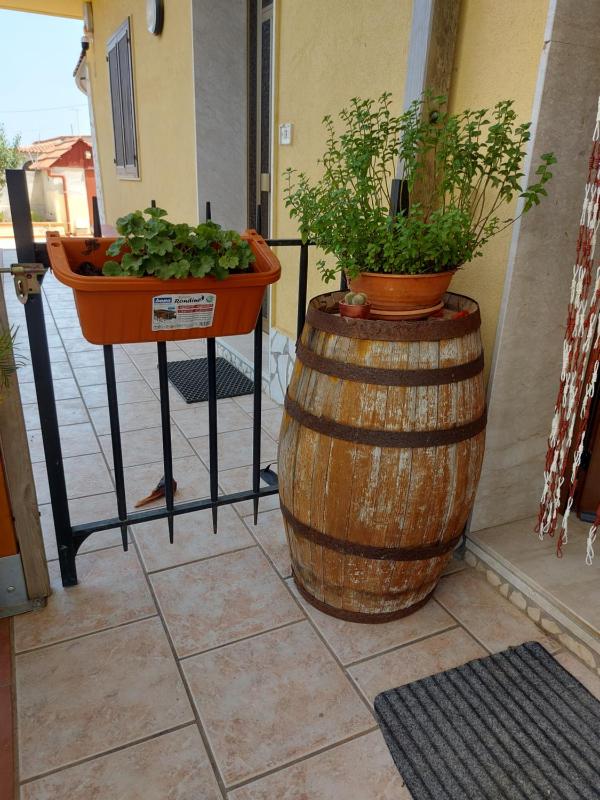 Elorina Sicily Home - image 29