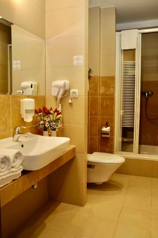 Single Room image 3