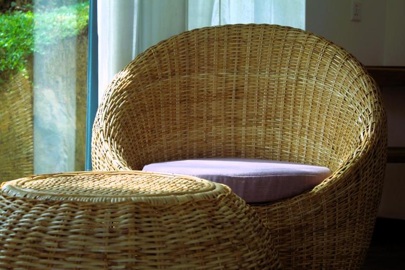 Ebony Boutique Villa - image 2