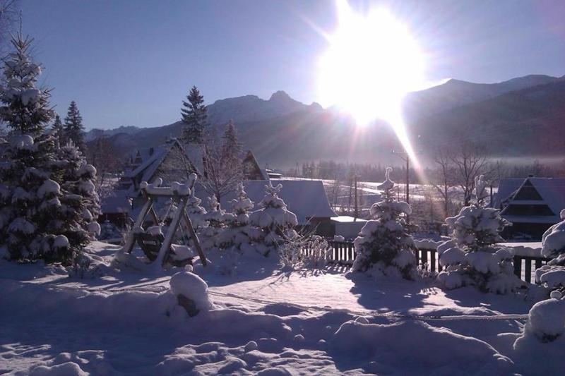 Willa Izydor widok na Tatry pyszne posiłki - image 27