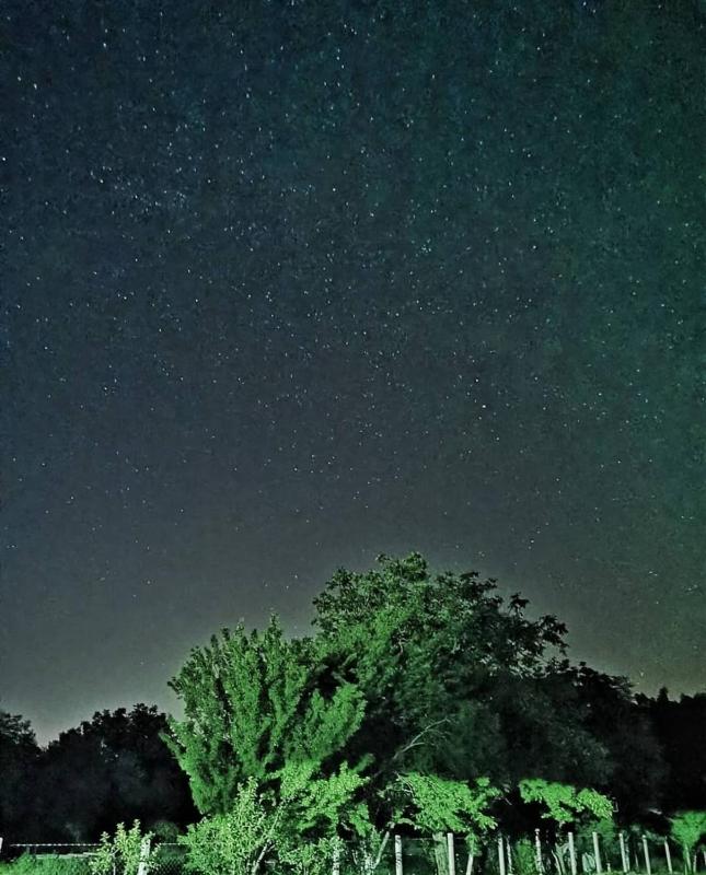 One-Bedroom Apartment image 3