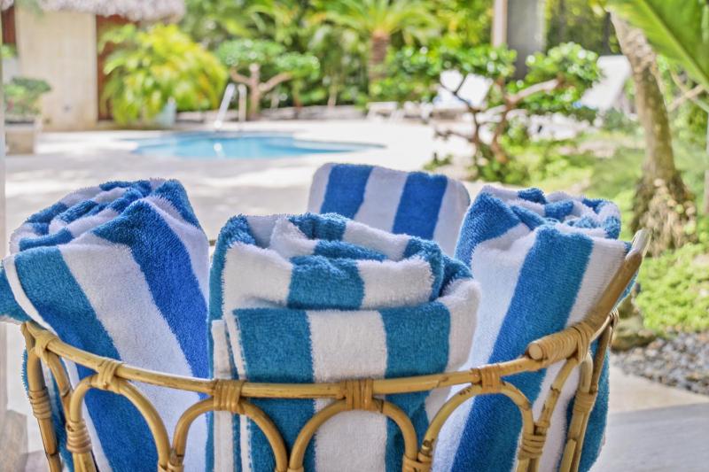 Spacious 4 Bedroom Villa with Pool Touring Cart & Maid - image 15
