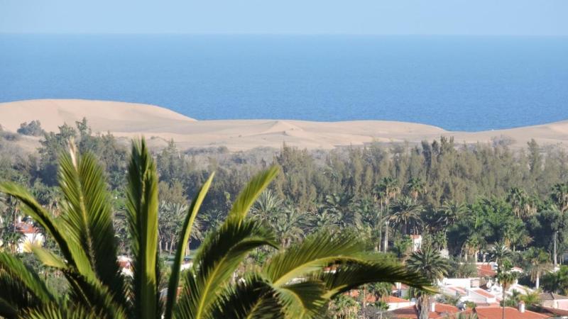Sonnenland Suites - image 4