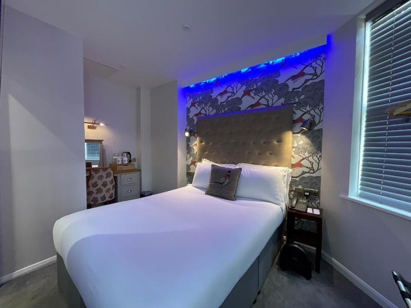 Single Room image 3