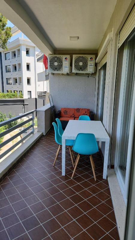 Ioli's House - image 4