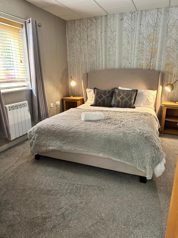 One-Bedroom Apartment image 1