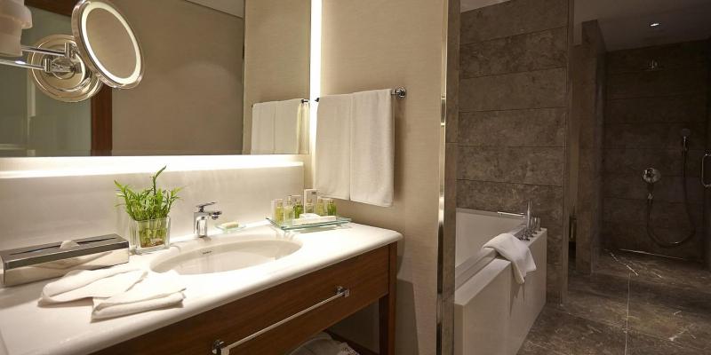 Junior King Suite image 4