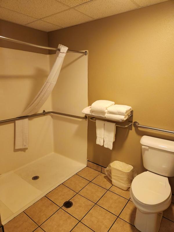 King Room - Disability Access image 2