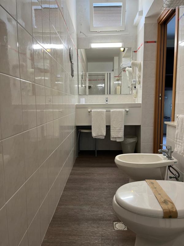 Deluxe Double or Twin Room image 2