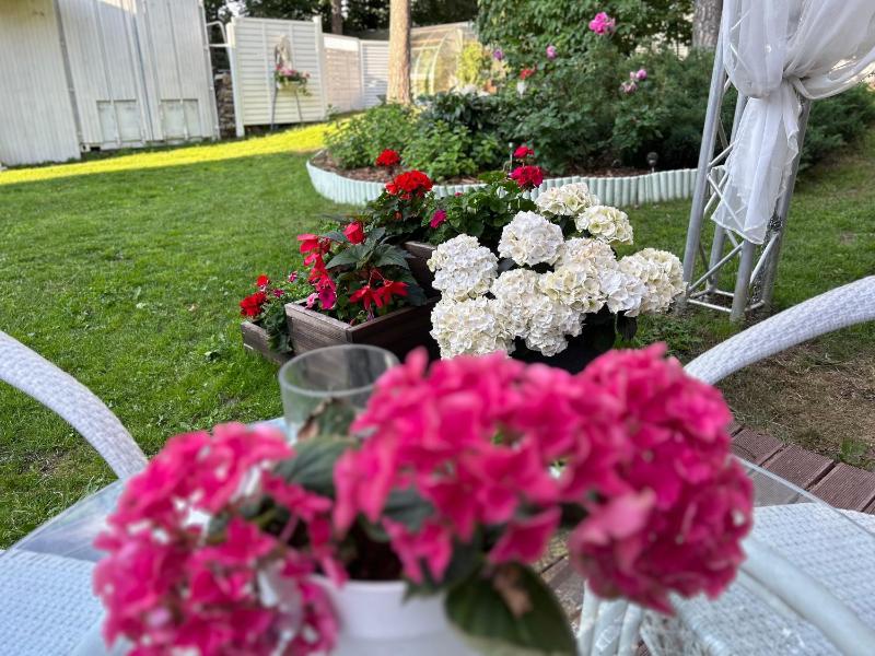 Double Room with Terrace image 4