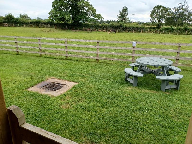 Standard Apartment image 2