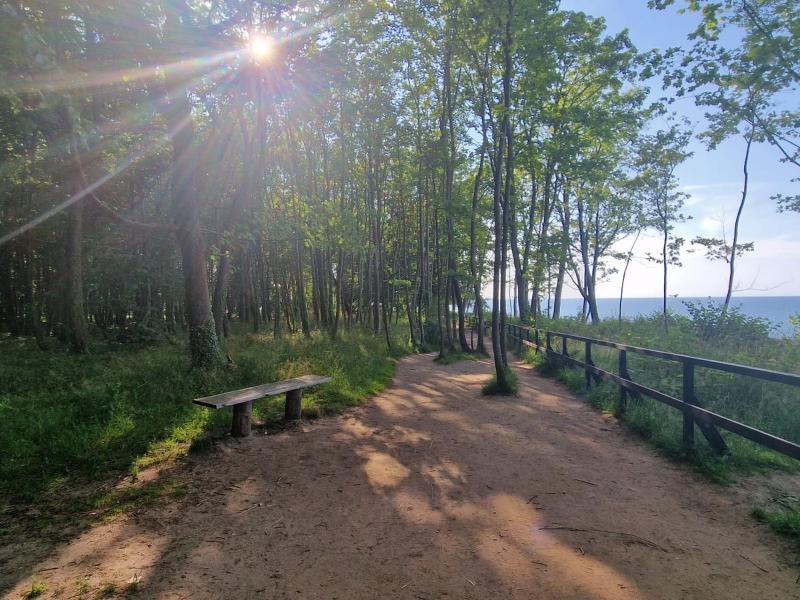 Ośrodek Promenada- Horyzont - image 10