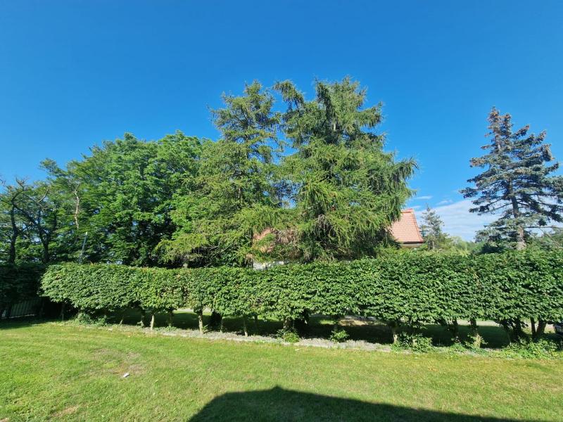 Ośrodek Promenada- Horyzont - image 39