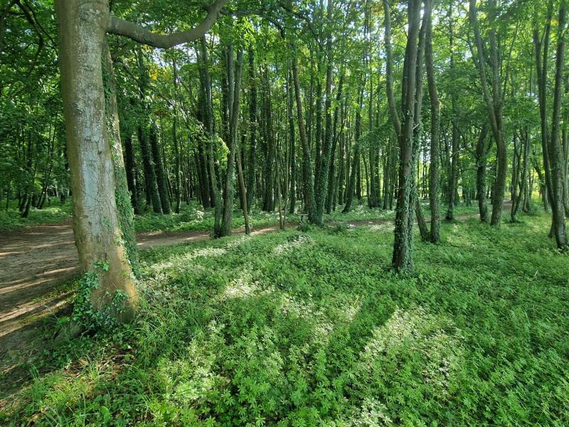 Ośrodek Promenada- Horyzont - image 21