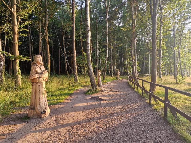 Ośrodek Promenada- Horyzont - image 33