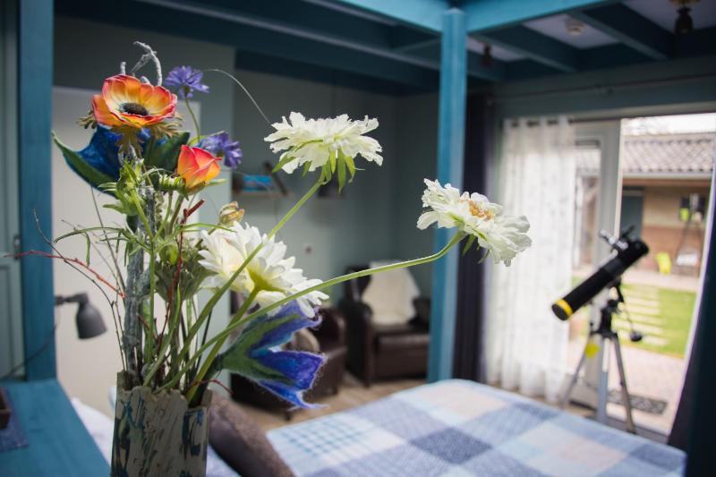 Studio with Garden View image 1