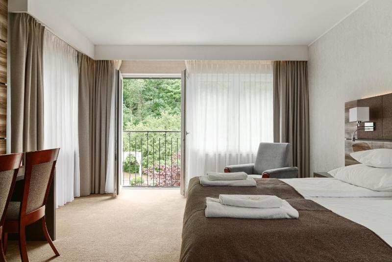 Premium Twin Room image 1