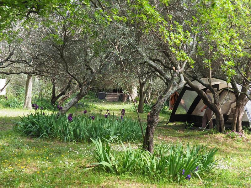Auberge de Jeunesse HI Nîmes - image 16