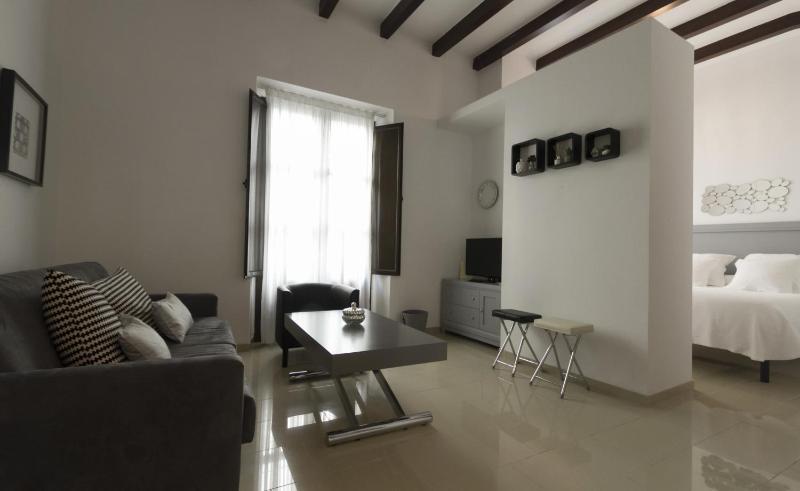 Apartamentos Plaza Nueva - image 13