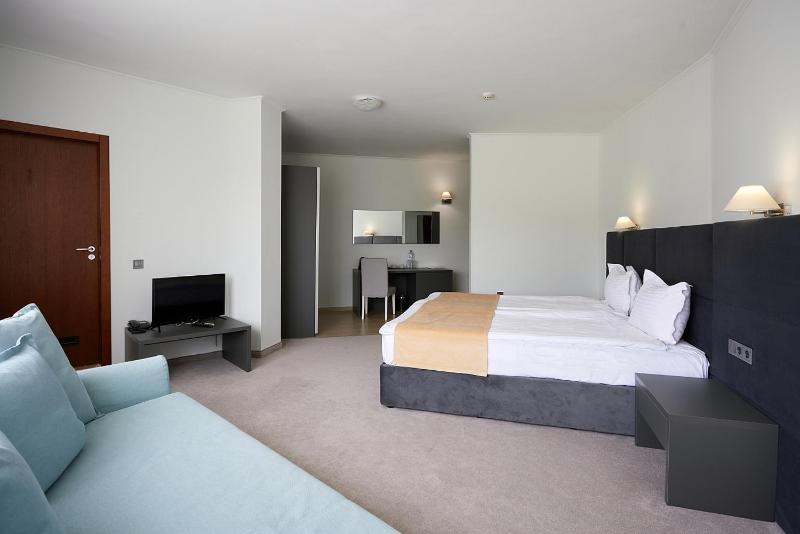 Superior Double Room with Balcony image 4