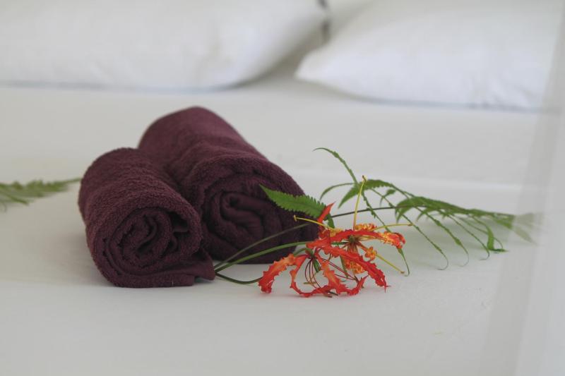 Ebony Boutique Villa - image 14