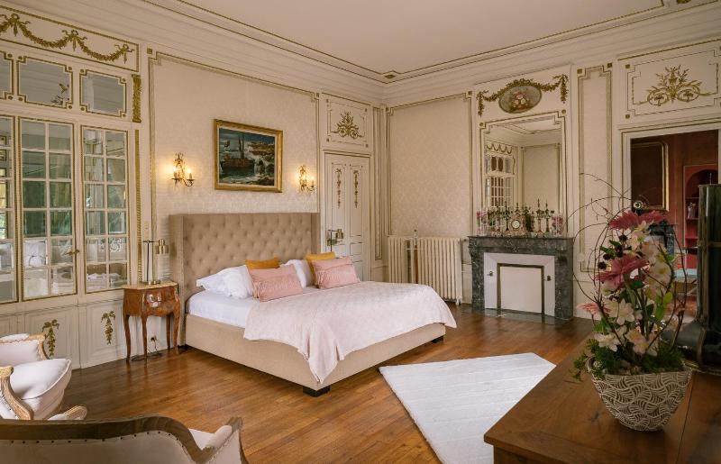Deluxe King Suite image 2