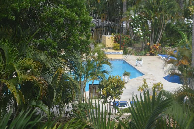 Ocean view one bedroom Trade Winds - image 15
