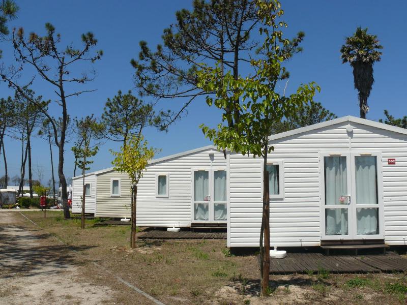 Caravan with shared bathroom image 1