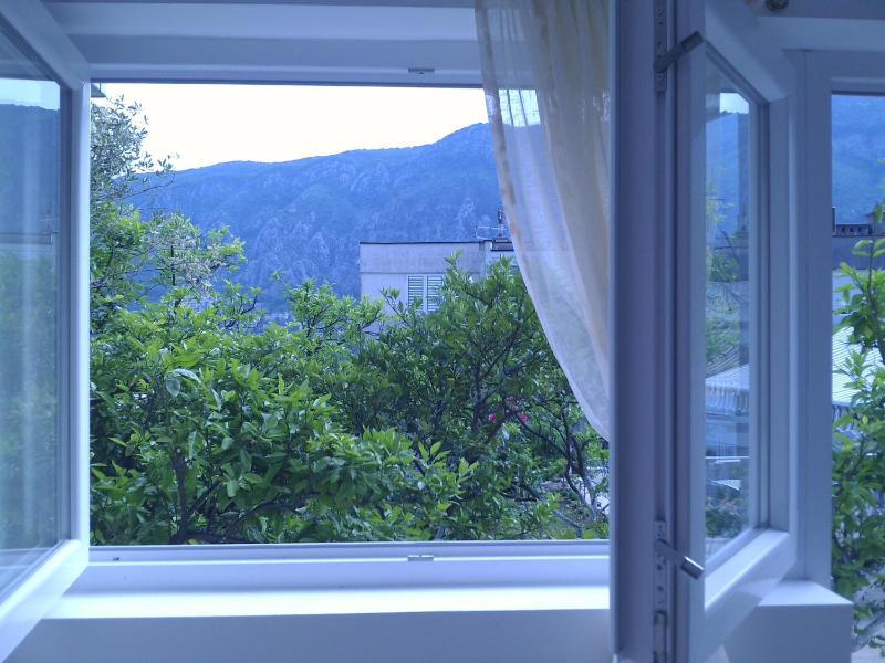 Apartment with Garden View image 4