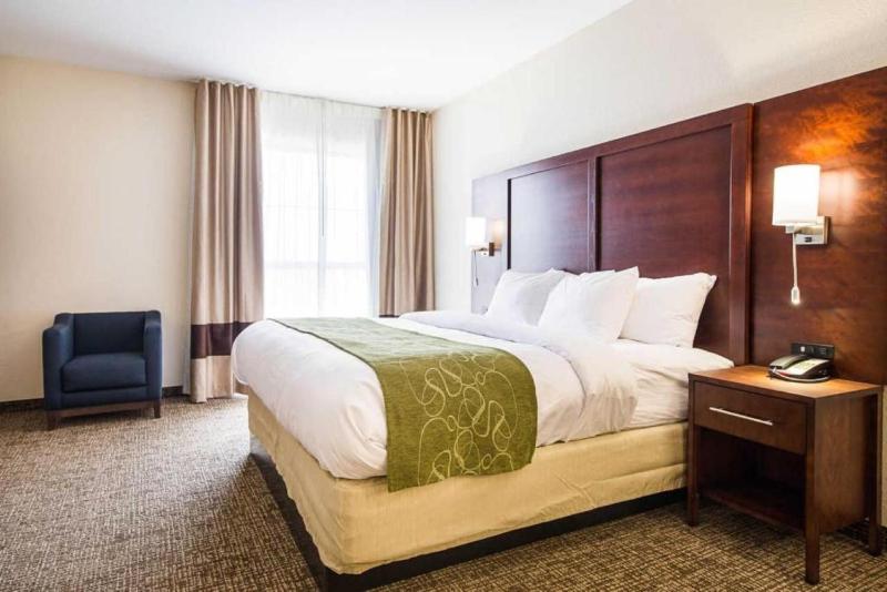 King Suite with Sofa Bed image 4