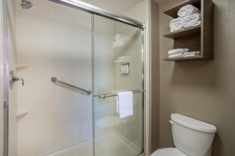King Studio Suite image 3