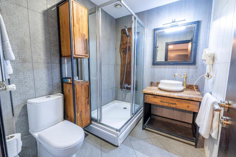 Deluxe Suite Room image 2