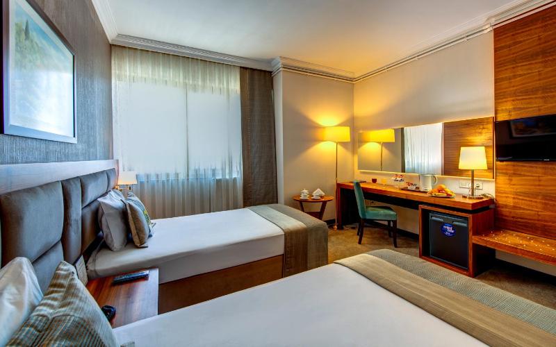 Double or Twin Room image 3