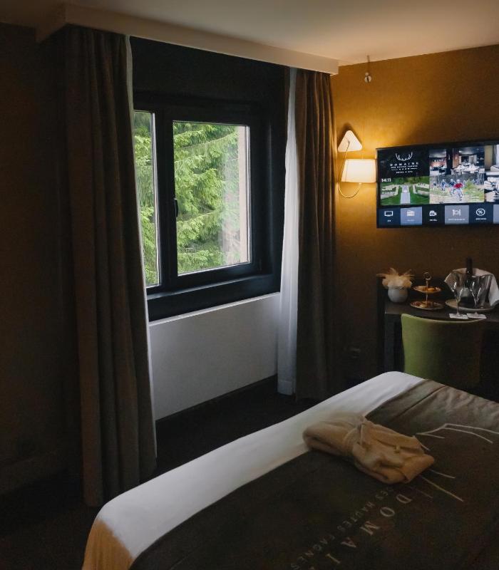 Double or Twin Room Classique image 1
