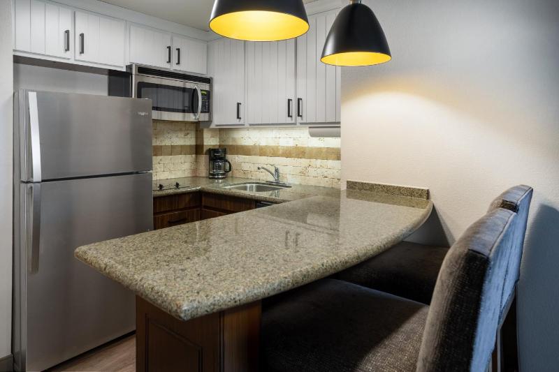King Studio Suite image 2