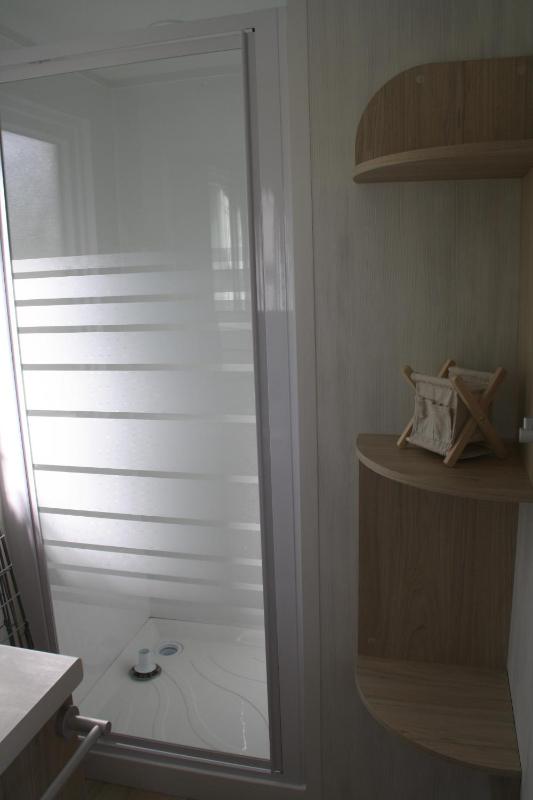 Mobile Home image 3